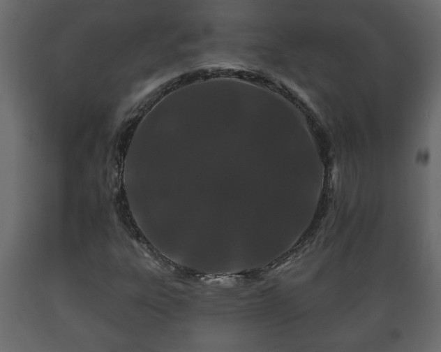 X0000089911303200707060951