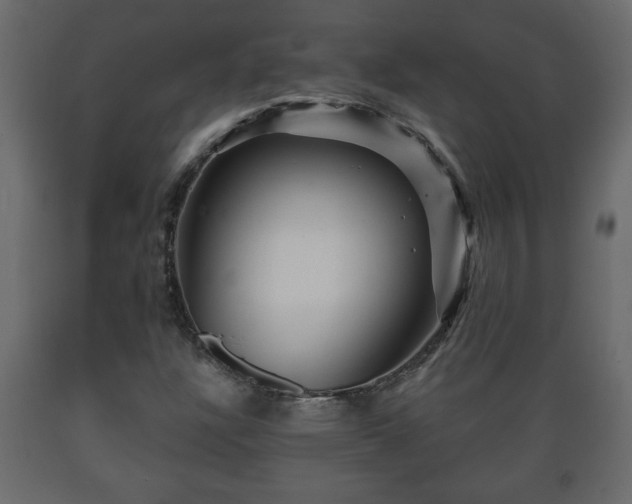 X0000089911304200707060951