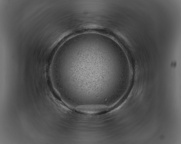 X0000089911305200707060951