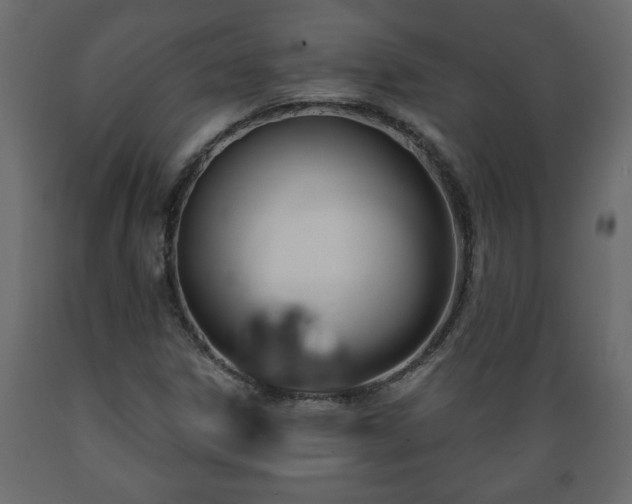 X0000089911306200707060951