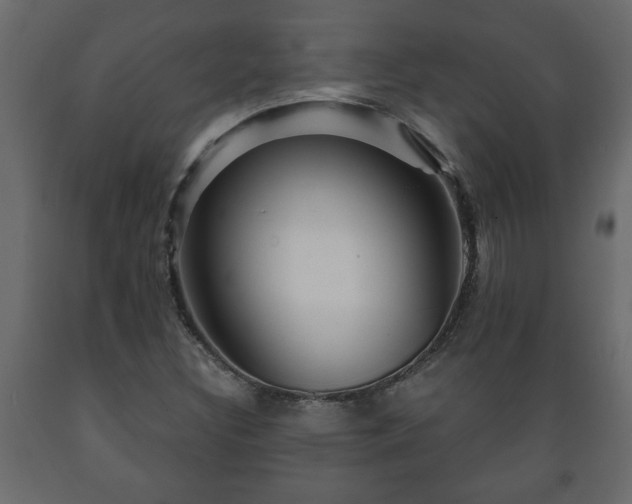 X0000089911308200707060951