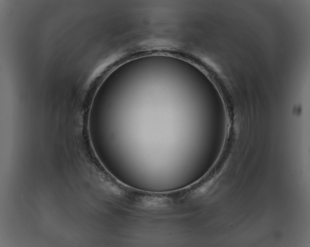 X0000089911309200707060951