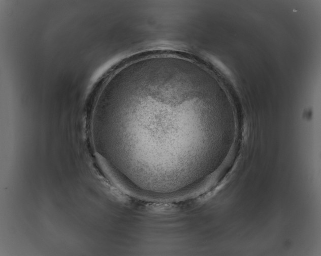 X0000089911310200707060951