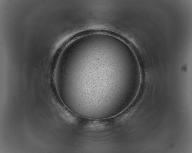 X0000089911311200707060951