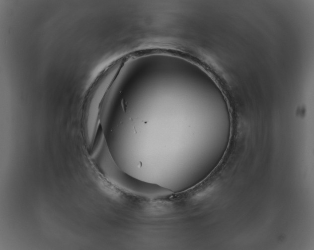 X0000089911312200707060951