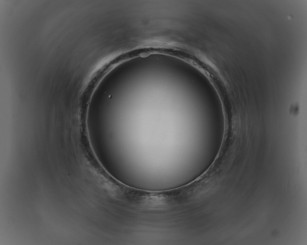 X0000089911315200707060951