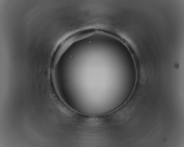 X0000089911316200707060951