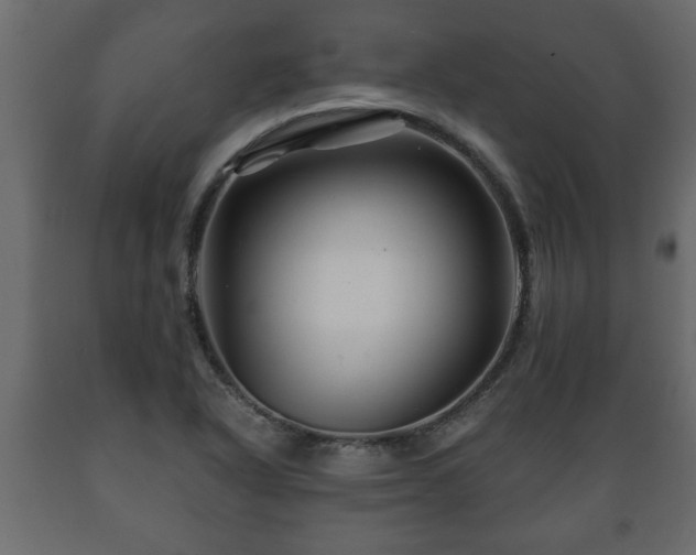 X0000089911318200707060951