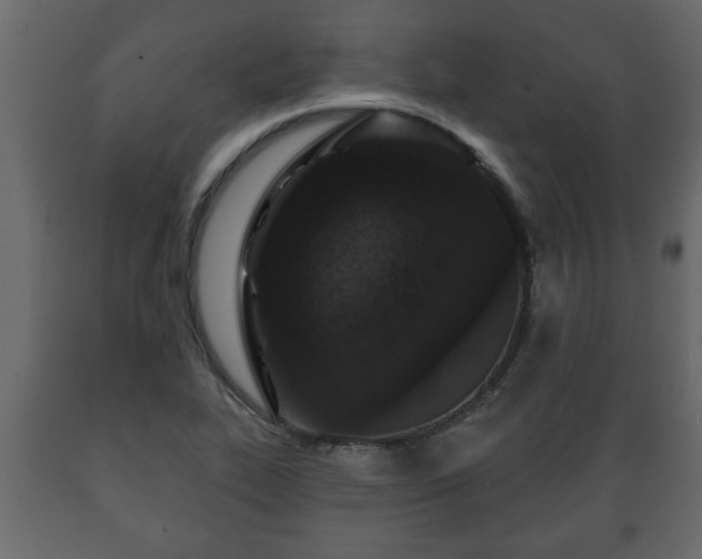 X0000089911319200707060951