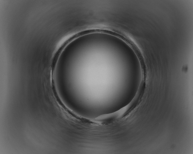 X0000089911320200707060951