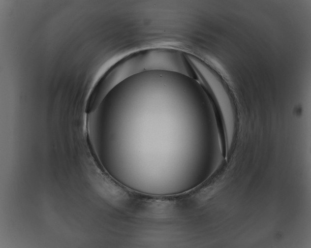 X0000089911324200707060951