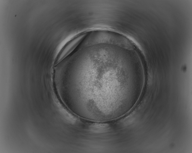 X0000089911325200707060951