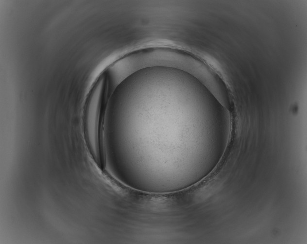 X0000089911326200707060951