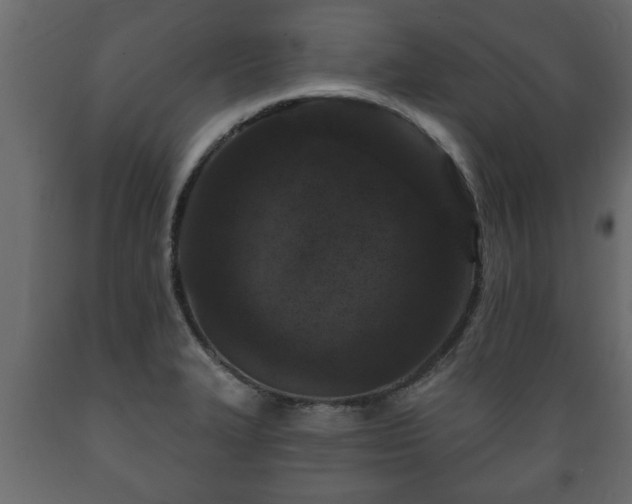 X0000089911327200707060951