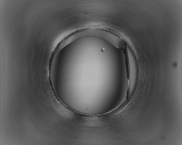 X0000089911328200707060951
