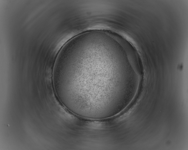 X0000089911329200707060951