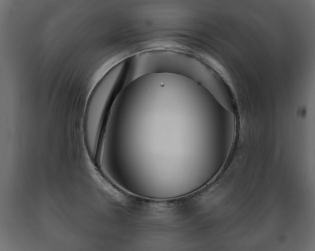 X0000089911330200707060951