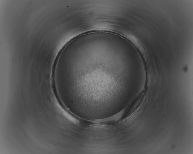 X0000089911331200707060951