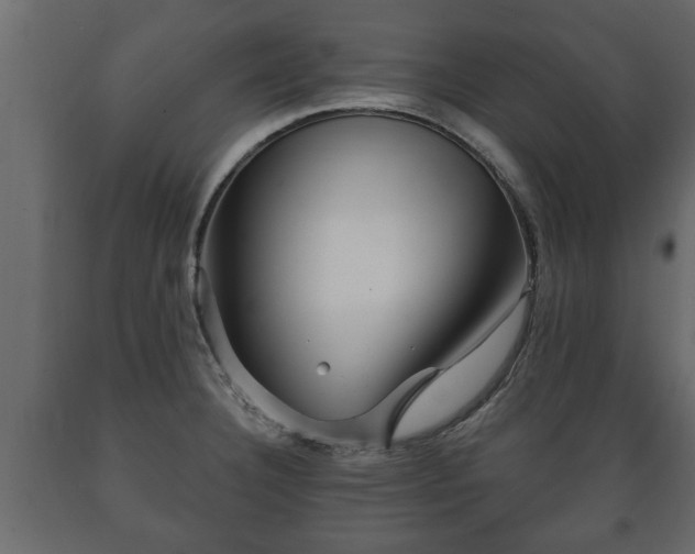 X0000089911332200707060951