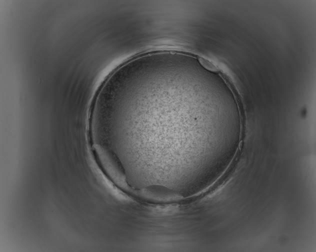 X0000089911333200707060951