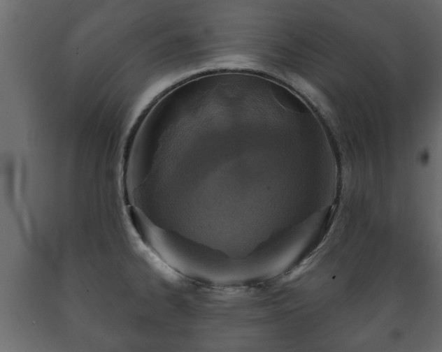 X0000089911334200707060951