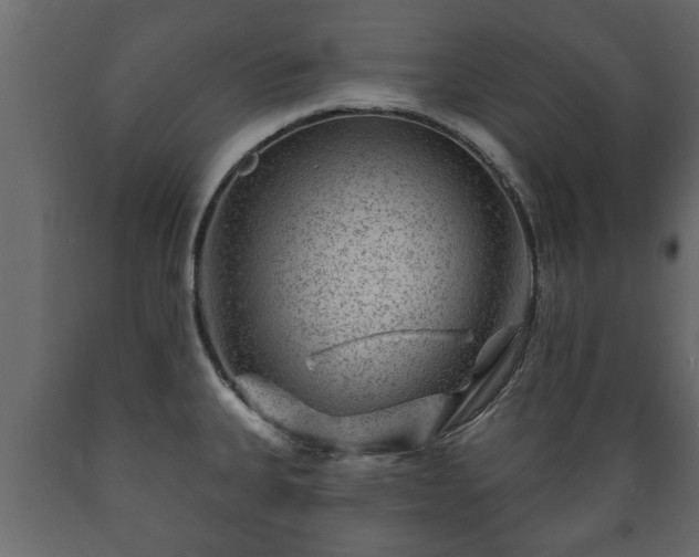 X0000089911335200707060951