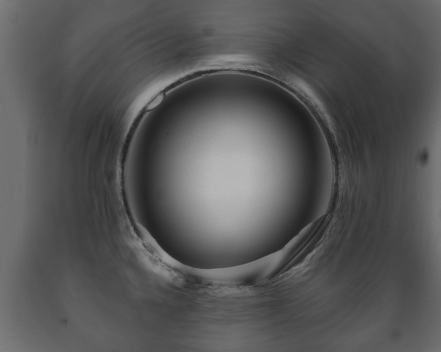 X0000089911336200707060951