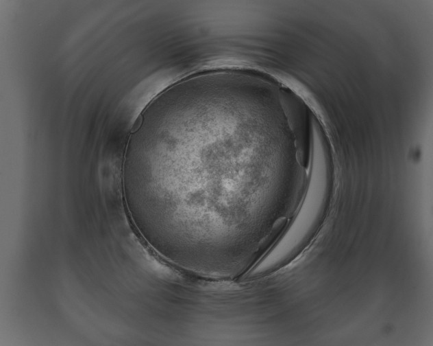 X0000089911337200707060951