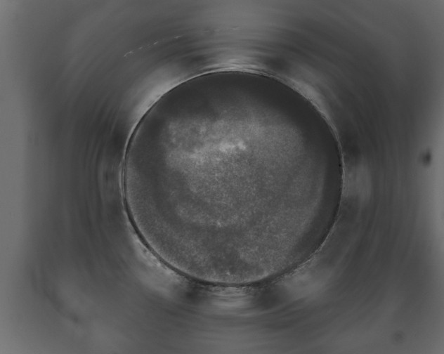 X0000089911338200707060951