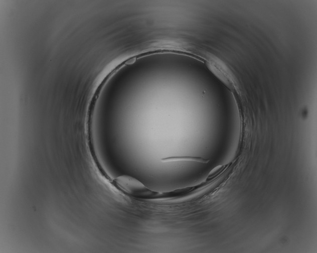 X0000089911339200707060951