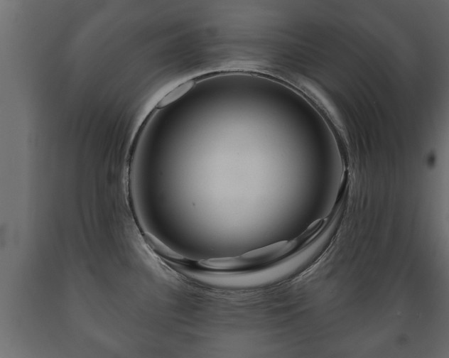X0000089911340200707060951