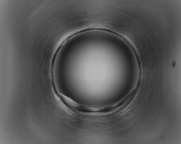 X0000089911342200707060951