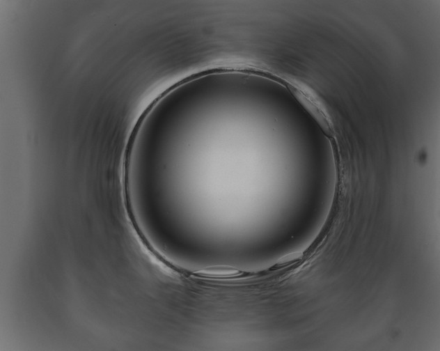 X0000089911343200707060951