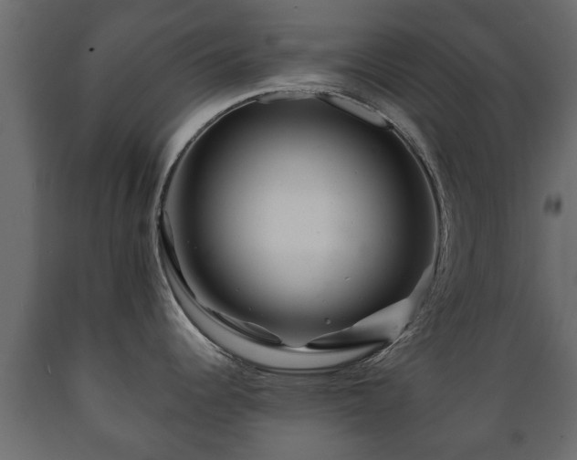 X0000089911344200707060951