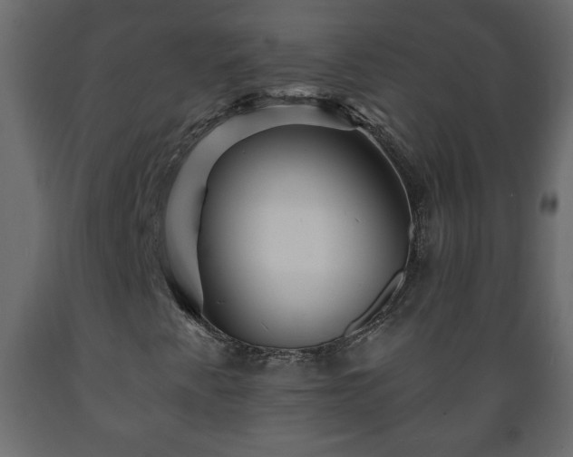 X0000089911345200707060951