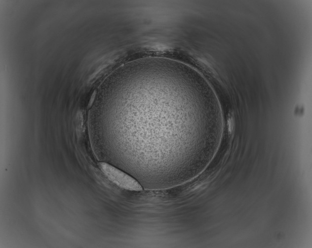 X0000089911347200707060951