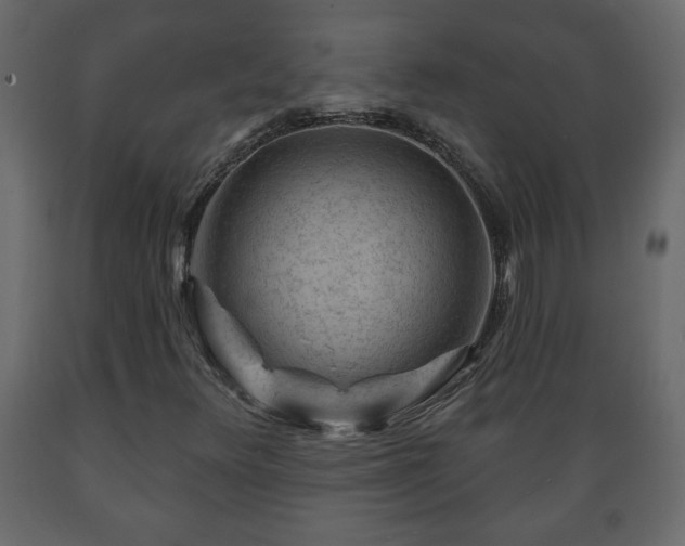 X0000089911348200707060951
