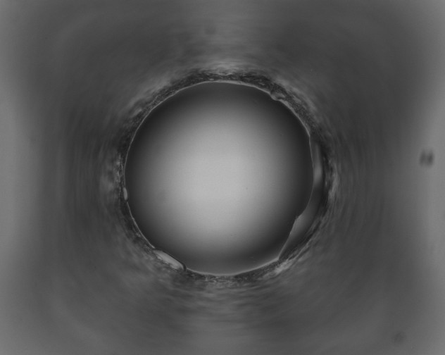 X0000089911349200707060951