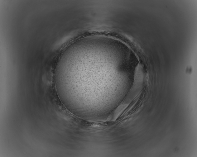 X0000089911350200707060951