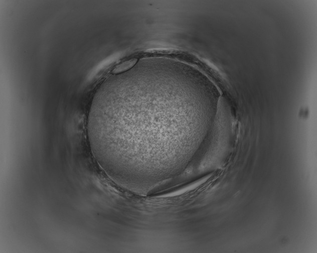 X0000089911351200707060951
