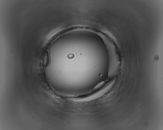 X0000089911352200707060951