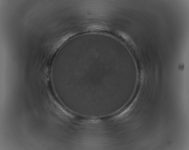 X0000089911353200707060951