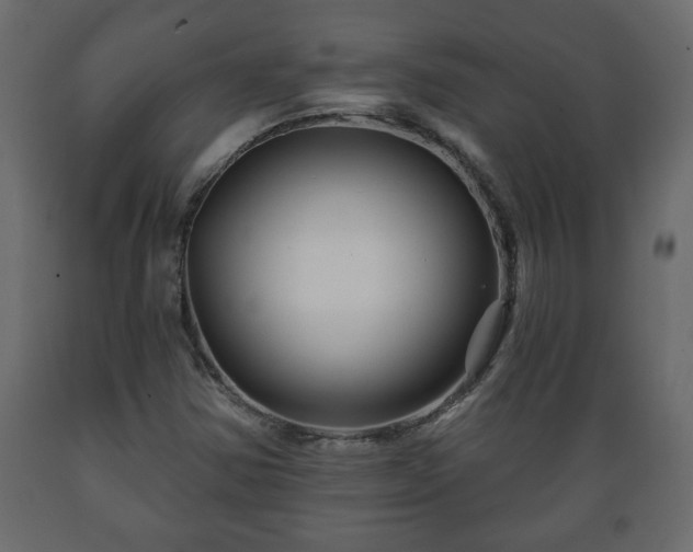 X0000089911354200707060951