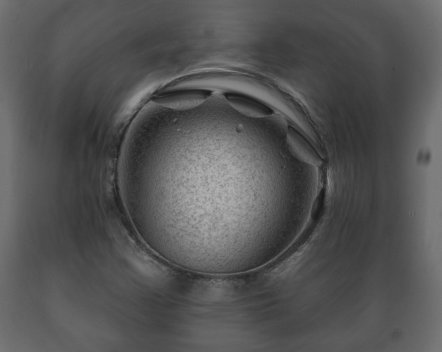X0000089911355200707060950