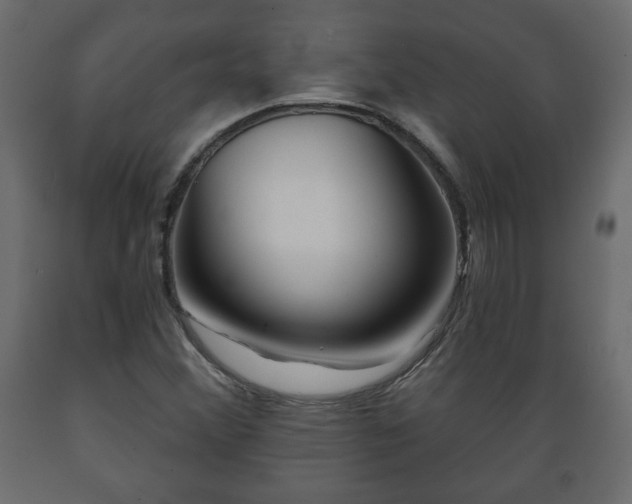 X0000089911356200707060950