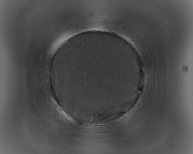 X0000089911359200707060950