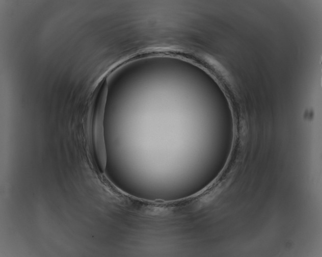 X0000089911361200707060950