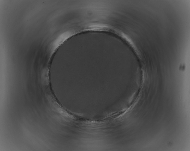 X0000089911362200707060950