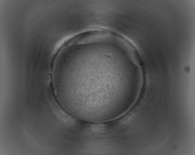 X0000089911363200707060950