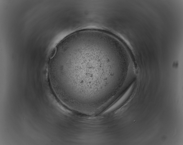 X0000089911367200707060950